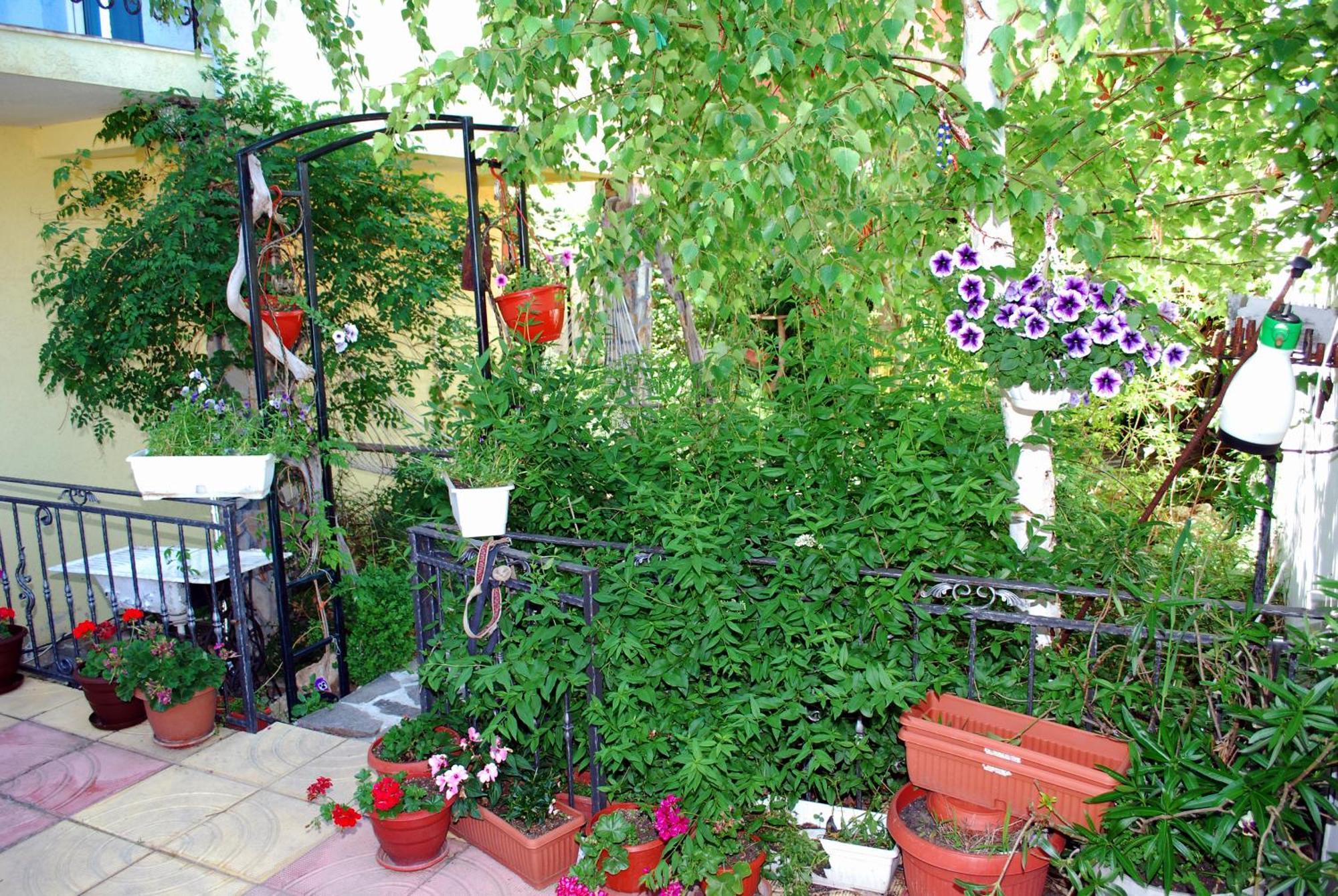 Hotel Saint Tatyana Sveti Vlas Bagian luar foto
